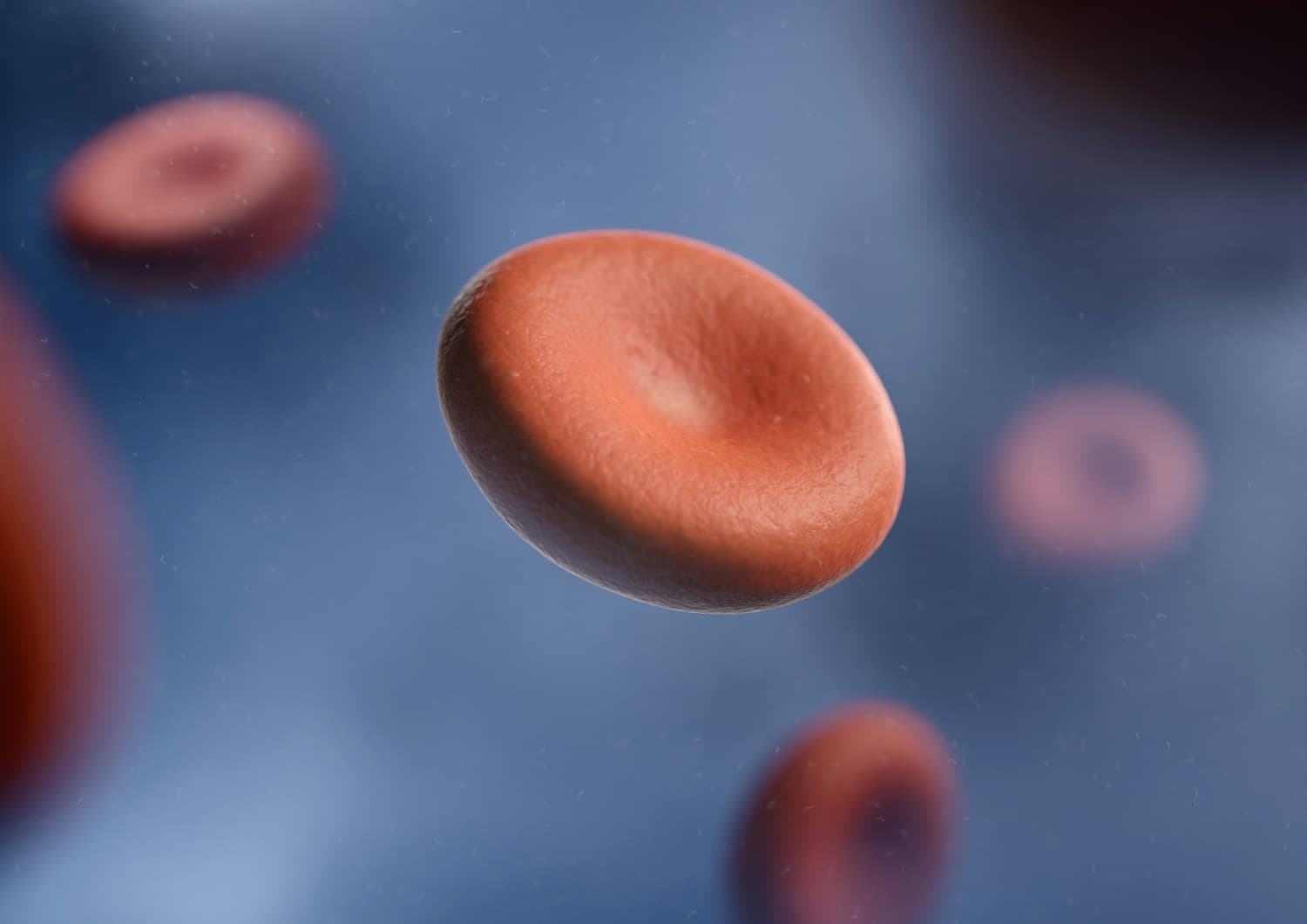 3D render of red blood cells, illustrating how haemoglobin carries oxygen through the bloodstream
